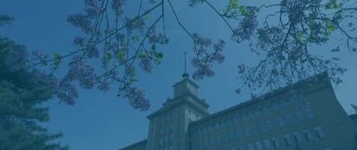 公开信息按发布时间滚动