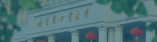 同栏目条目通常按时间倒序排列